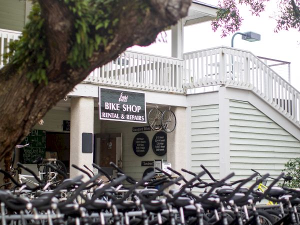 Bicycles are lined up near a tree in front of a shop with a "Bike Shop" sign.