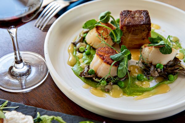 A gourmet dish featuring seared scallops, greens, sauce, and a cut of meat, elegantly plated with a glass of red wine on the side.