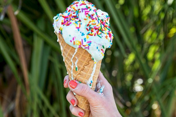 A hand holds an ice cream cone with rainbow sprinkles, against a backdrop of green foliage.
