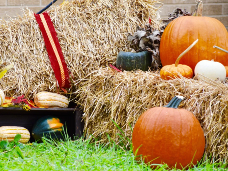Hay bales with pumpkins and gourds arranged on grass, creating a festive autumn display.