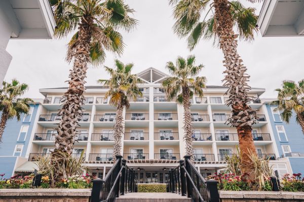 The image shows a multi-story building with palm trees in front, leading up to an entrance with steps and ornamental plants.