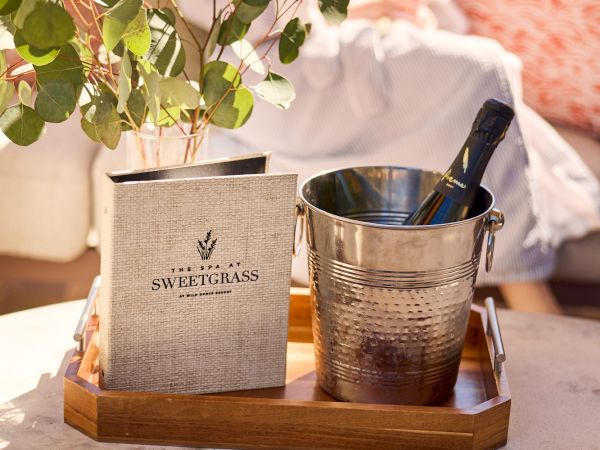 A refreshing setup with a potted plant, a metal ice bucket, and a sparkling wine bottle on a wooden tray, all on a sunlit patio.