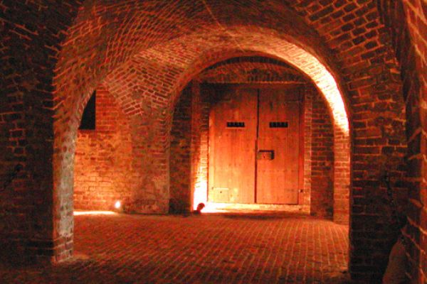 A dimly lit brick-walled cellar with arched ceilings and a wooden door, creating an old and mysterious atmosphere.