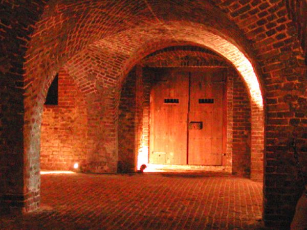 A dimly lit brick-walled cellar with arched ceilings and a wooden door, creating an old and mysterious atmosphere.