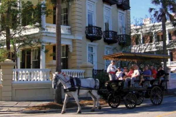 A horse-drawn carriage carrying people passes by historic buildings and palm trees, under a clear blue sky.