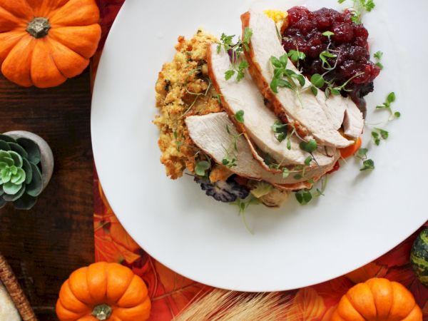 The image shows a Thanksgiving dish with turkey slices, stuffing, cranberry sauce, surrounded by mini pumpkins and autumn leaves.