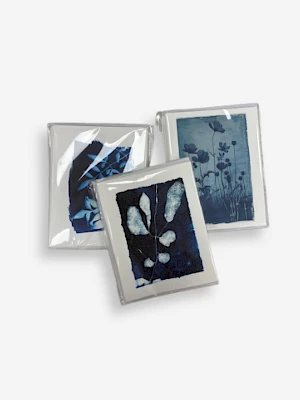 Three small framed artworks feature botanical cyanotype prints with blue and white tones on a white background, arranged in a cluster.