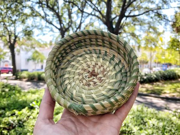 A hand holds a small, woven basket outdoors with trees and bushes in the background.