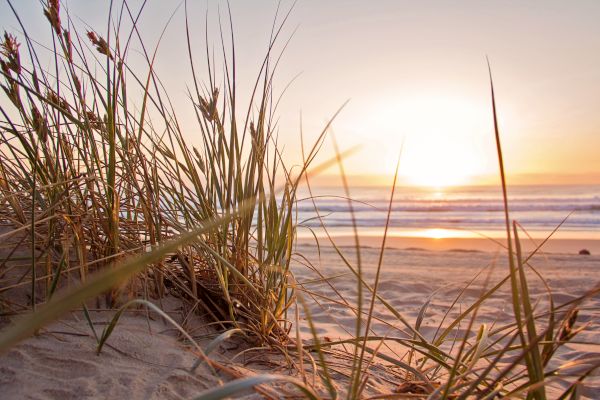 A scenic beach view with tall grass in the foreground and the sun setting over the ocean horizon, casting a warm glow.
