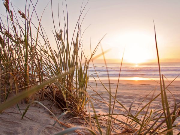 A scenic beach view with tall grass in the foreground and the sun setting over the ocean horizon, casting a warm glow.