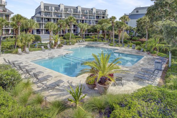 A swimming pool surrounded by lounge chairs and plants, with modern buildings and palm trees in the background, under a clear sky.
