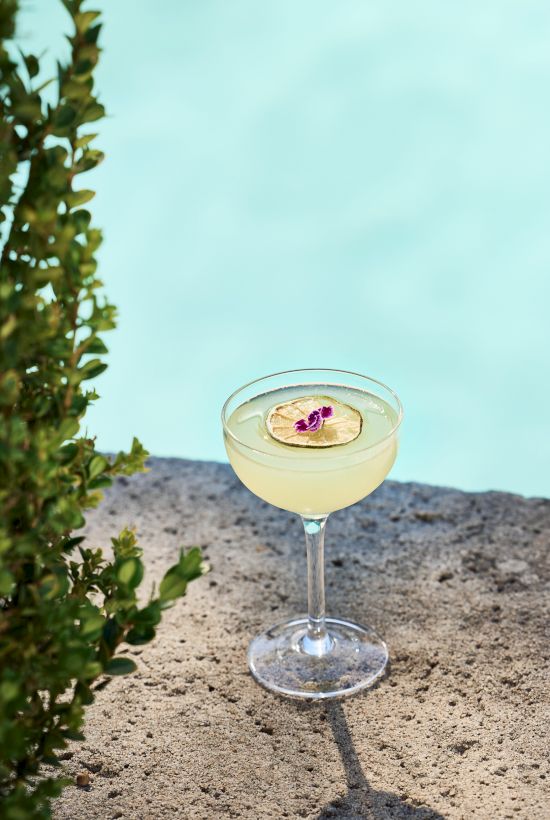 A pale cocktail with a pink flower garnish sits in a coupe on a stone ledge beside a leafy shrub, by a bright blue pool.