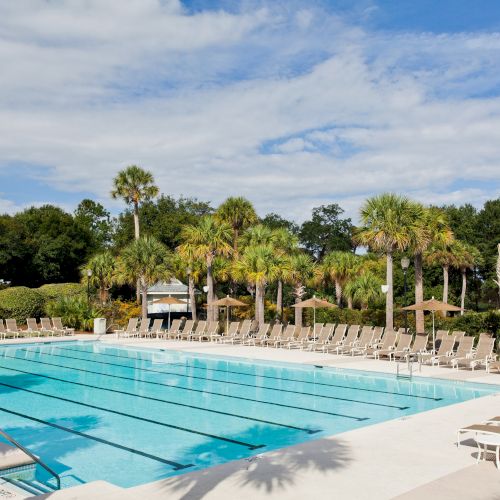 A swimming pool surrounded by lounge chairs and umbrellas, set amidst palm trees and a clear sky.