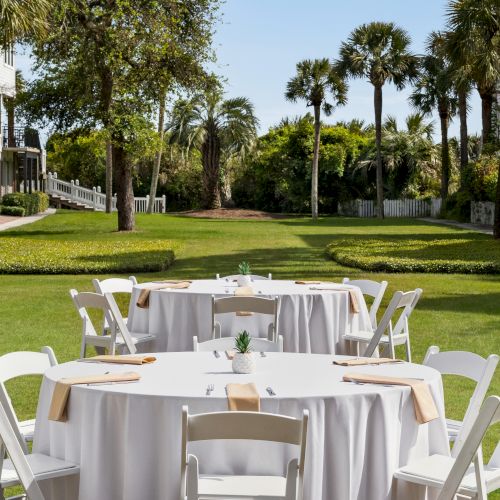 Outdoor setting with round tables and white chairs on a lawn, surrounded by palm trees and buildings in the background.