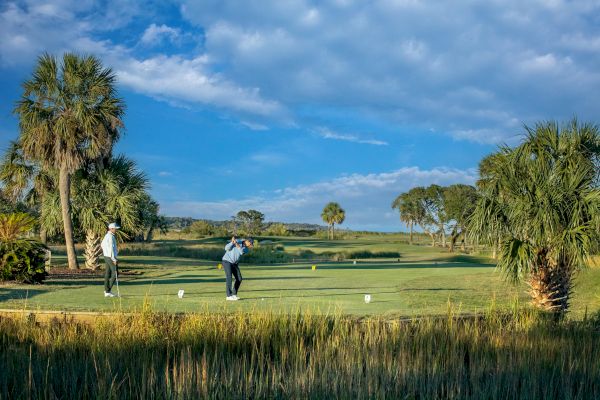Two people playing golf on a sunny course with palm trees and a clear blue sky in the background.