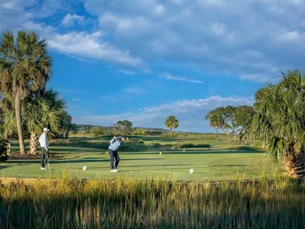 Two people playing golf on a sunny course with palm trees and a clear blue sky in the background.