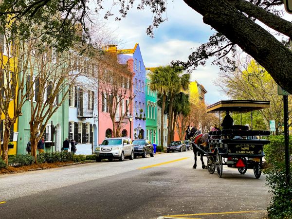 Colorful row of historic buildings along a street with a horse-drawn carriage and cars parked, under a canopy of trees.